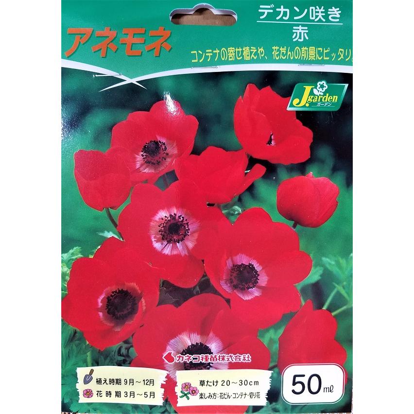 花球根 アネモネ デカン咲き 赤 50ml入 カネコ種苗 Kyuukon 411 Gardener S Shop Ivy 通販 Yahoo ショッピング