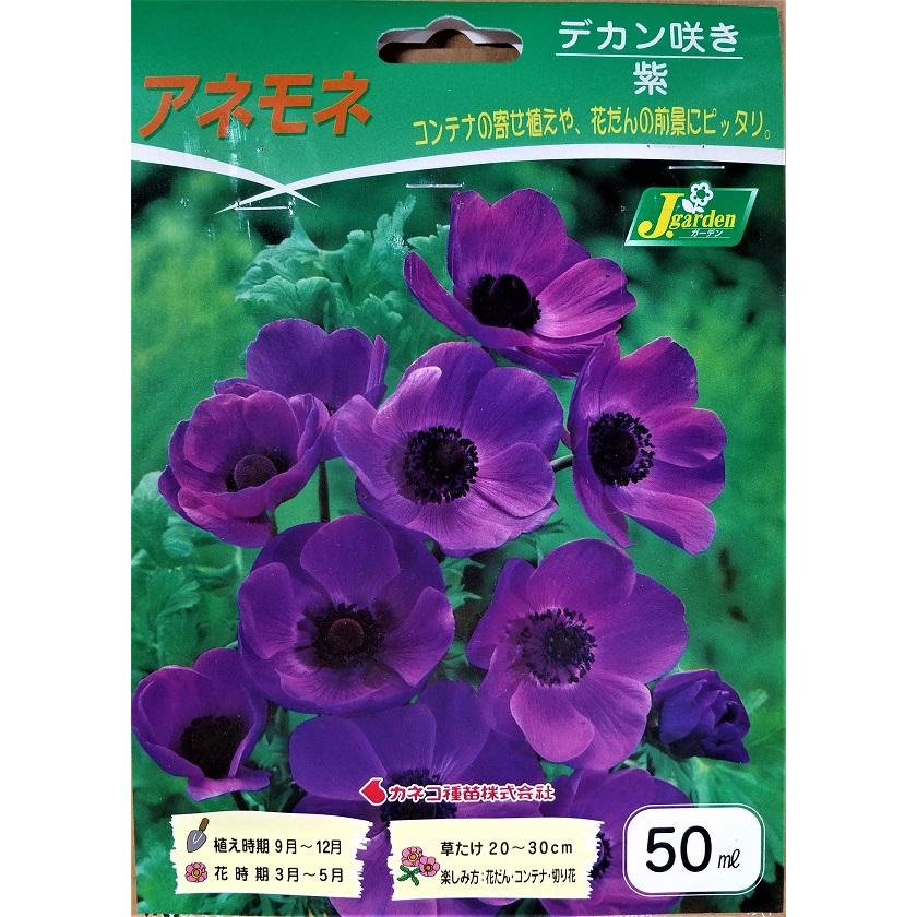 花球根 アネモネ デカン咲き 紫 50ml入 カネコ種苗 Kyuukon 414 Gardener S Shop Ivy 通販 Yahoo ショッピング