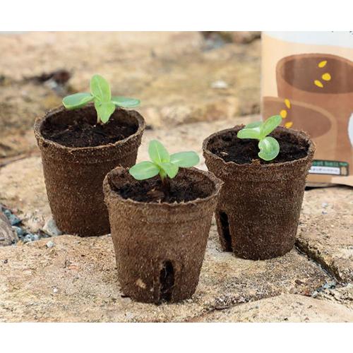 ジフィーポット 丸型5.5cm 40個入 : Gardener s Shop Ivy - 通販