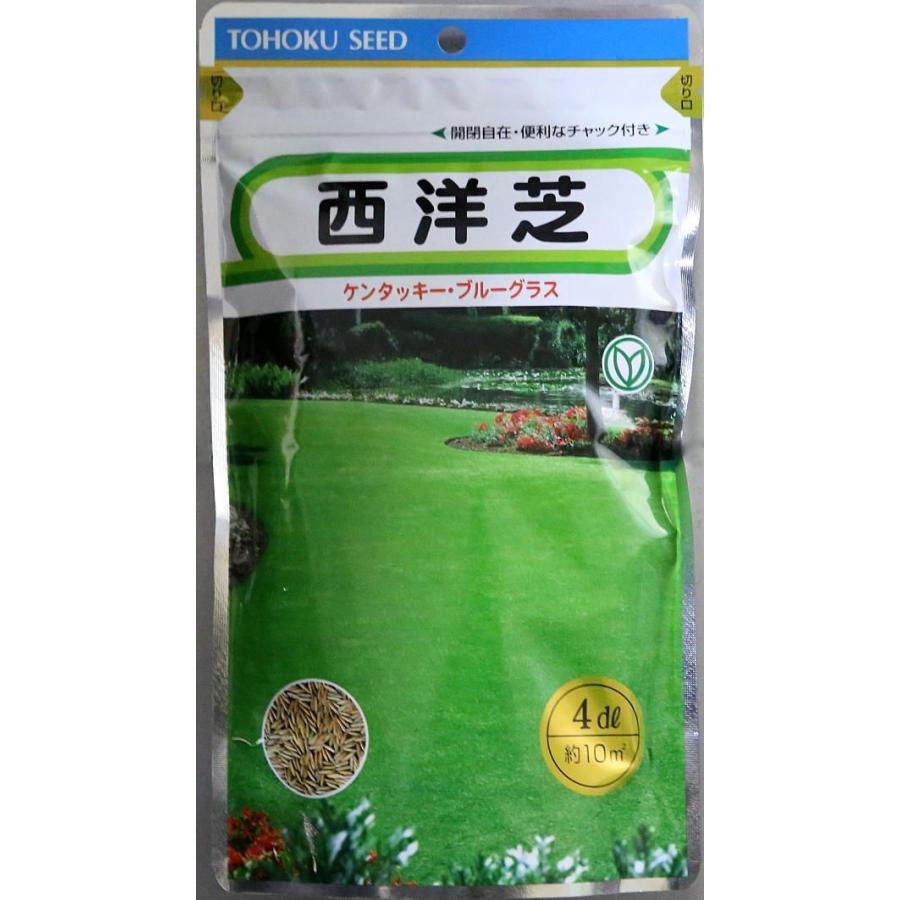 種子 西洋芝 ケンタッキーブルーグラス 4dl トーホクのタネ Siba 004 Gardener S Shop Ivy 通販 Yahoo ショッピング