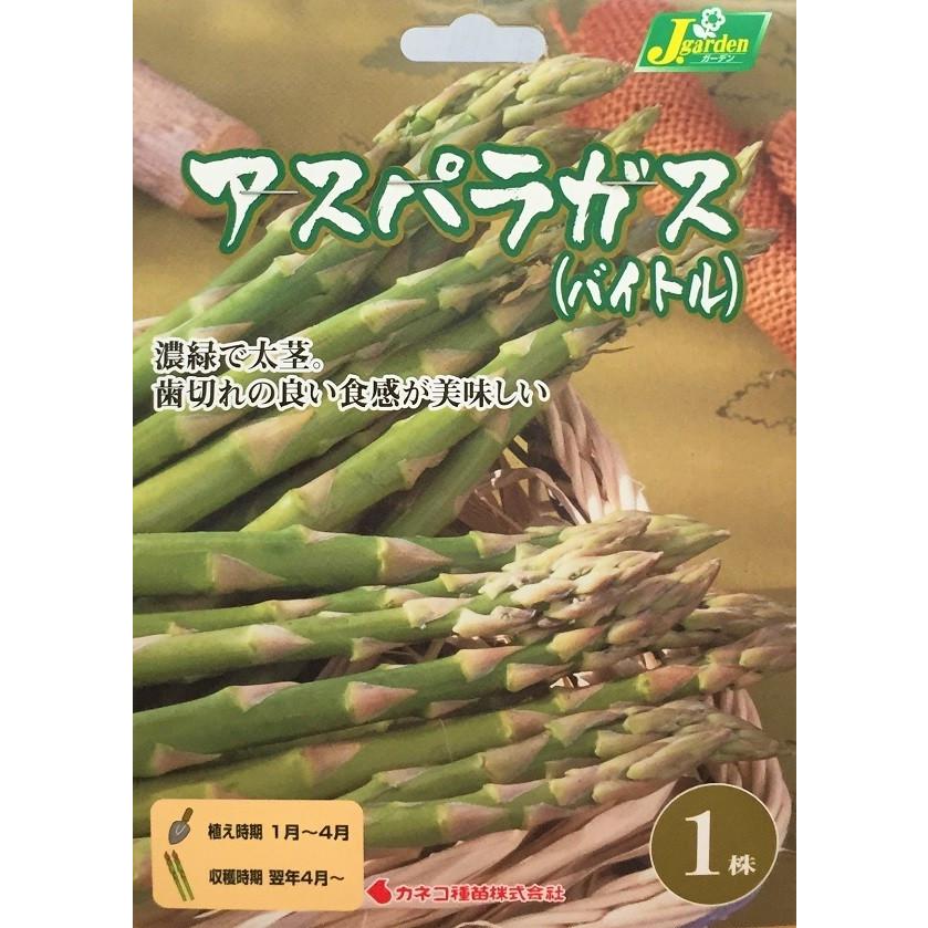 野菜球根】アスパラガス(バイトル) 1株入 カネコ種苗の球根 : Gardener