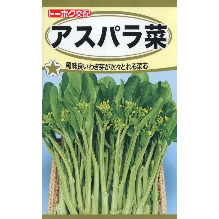 【種子】アスパラ菜 トーホクのタネ｜gardeningivy
