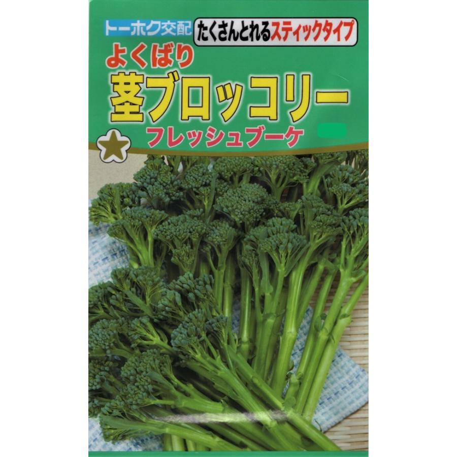 【種子】よくばり茎ブロッコリー フレッシュブーケ トーホクのタネ｜gardeningivy
