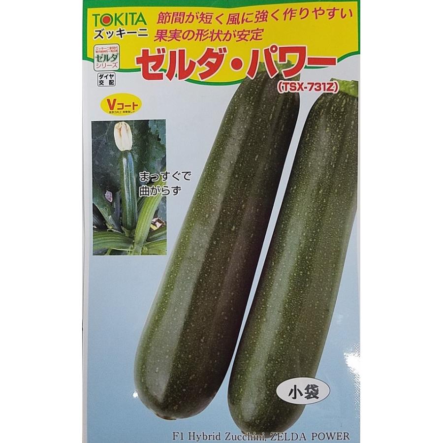野菜種子 ズッキーニ ゼルダ・パワー(TSX-731Z) 小袋 トキタ種苗のタネ