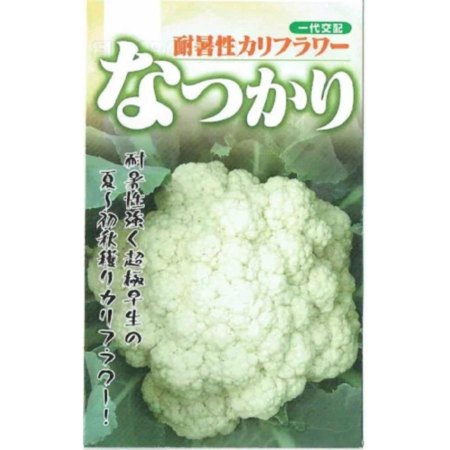 野菜種子 耐暑性カリフラワー なつかり フタバ種苗のタネ : Gardener s