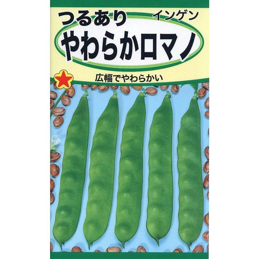 種子 インゲン つるあり やわらかロマノ トーホクのタネ Yasaitane 034 Gardener S Shop Ivy 通販 Yahoo ショッピング