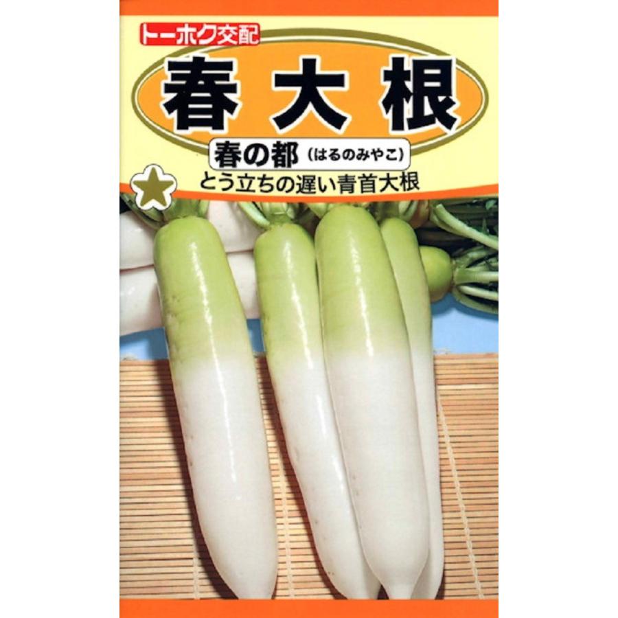 種子 春大根 春の都 トーホクのタネ Yasaitane 038 Gardener S Shop Ivy 通販 Yahoo ショッピング