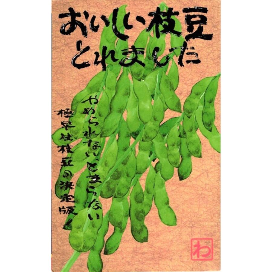 【種子】おいしい枝豆とれました 緑 1dl 渡辺農事のタネ｜gardeningivy