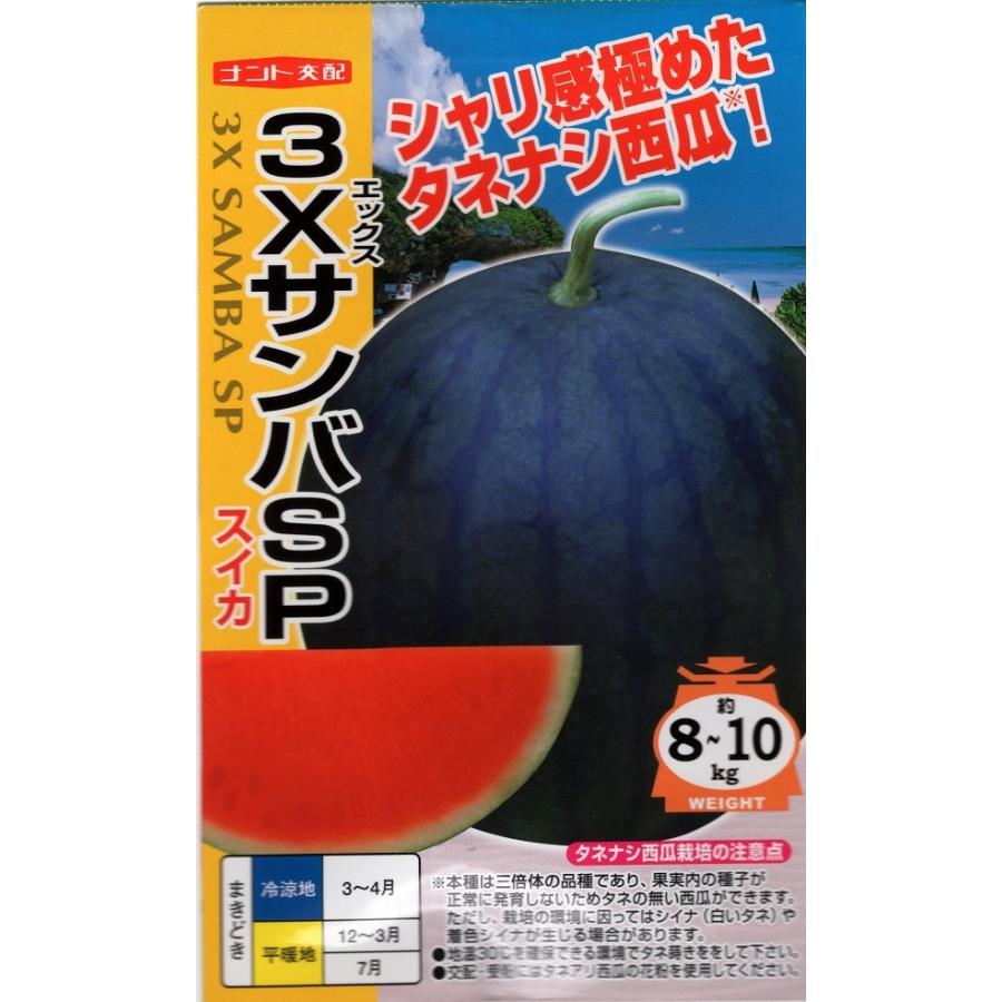 野菜種子 スイカ 3XサンバSP ナント種苗のタネ : Gardener s Shop Ivy