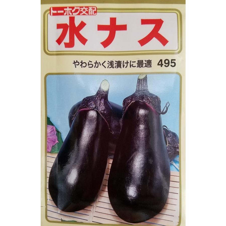 野菜種子 水ナス トーホクのタネ : Gardener s Shop Ivy - 通販