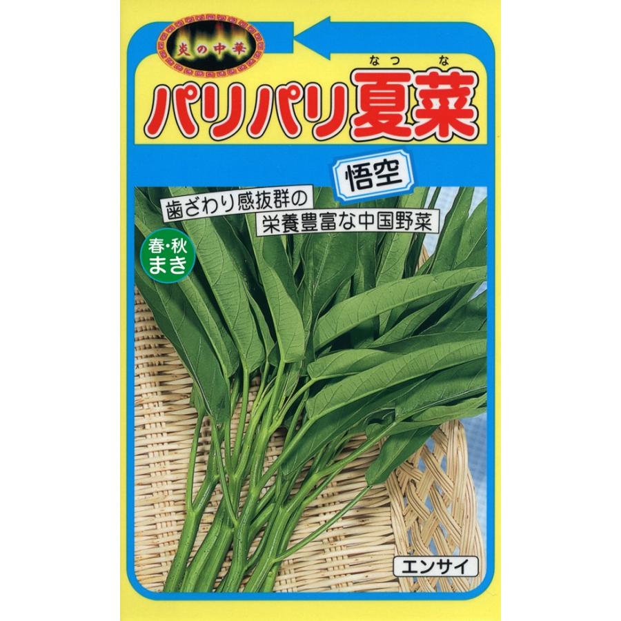 野菜種子 パリパリ夏菜(エンサイ) 悟空 トーホクのタネ : Gardener s