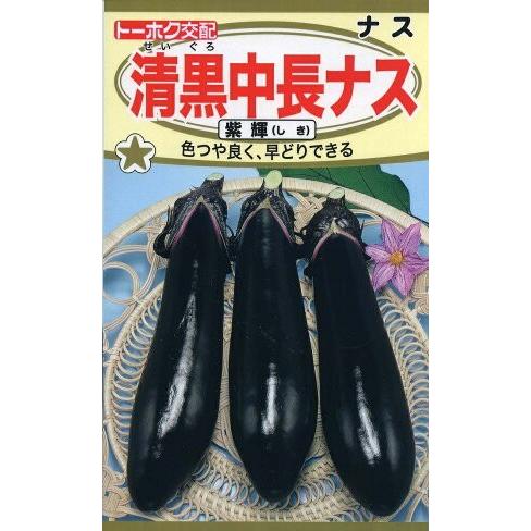 野菜種子 清黒中長ナス 紫輝（しき） トーホクのタネ : Gardener s