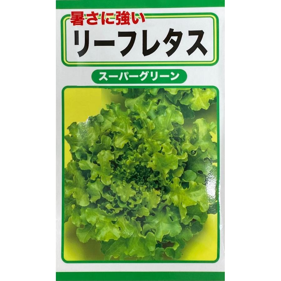 野菜種子 リーフレタス スーパーグリーン トーホクのタネ : Gardener s