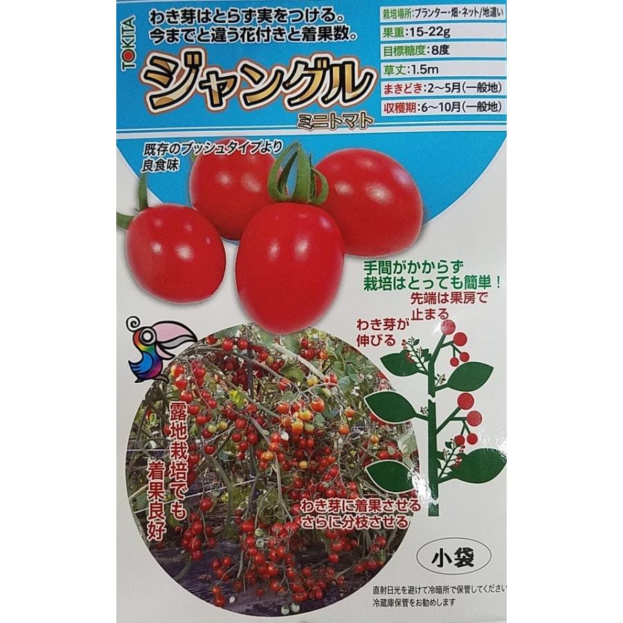 種子 ジャングル ミニトマト トキタ種苗のタネ Yasaitane 0708 Gardener S Shop Ivy 通販 Yahoo ショッピング