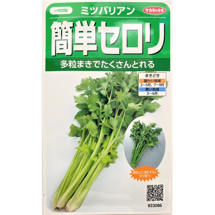 セロリ　　他の方は購入しないでください サカタのタネ（サカタノタネ） 野菜種子 簡単セロリ ミツバリアン