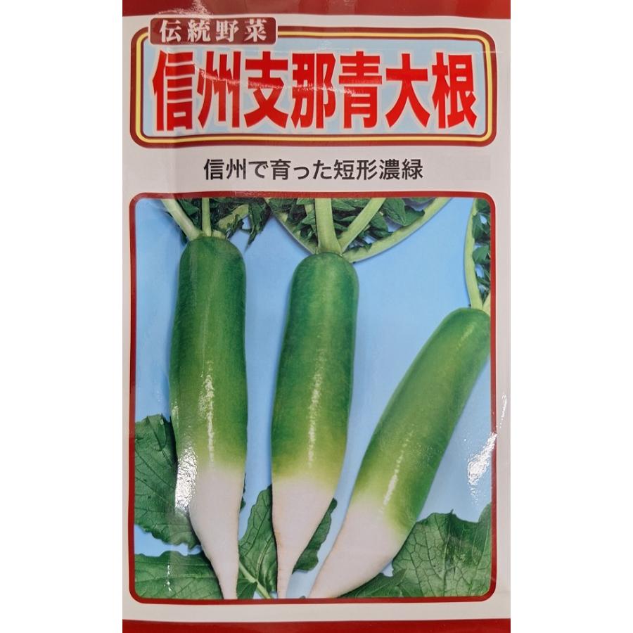 野菜種子 伝統野菜 信州支那青大根 トーホクのタネ : Gardener s