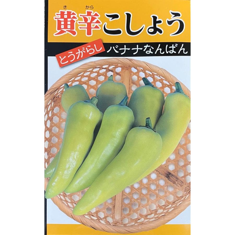 野菜種子 とうがらし 黄辛こしょう バナナなんばん 日本タネセンターの