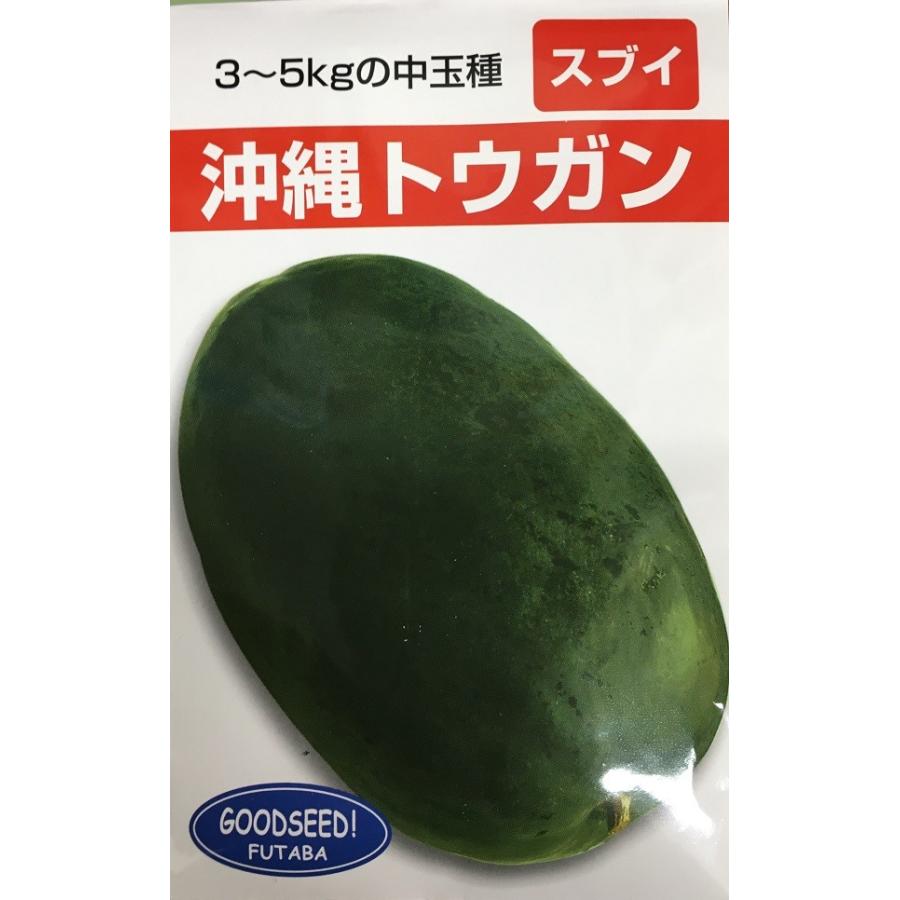 野菜種子 沖縄トウガン スブイ フタバ種苗のタネ : Gardener s Shop