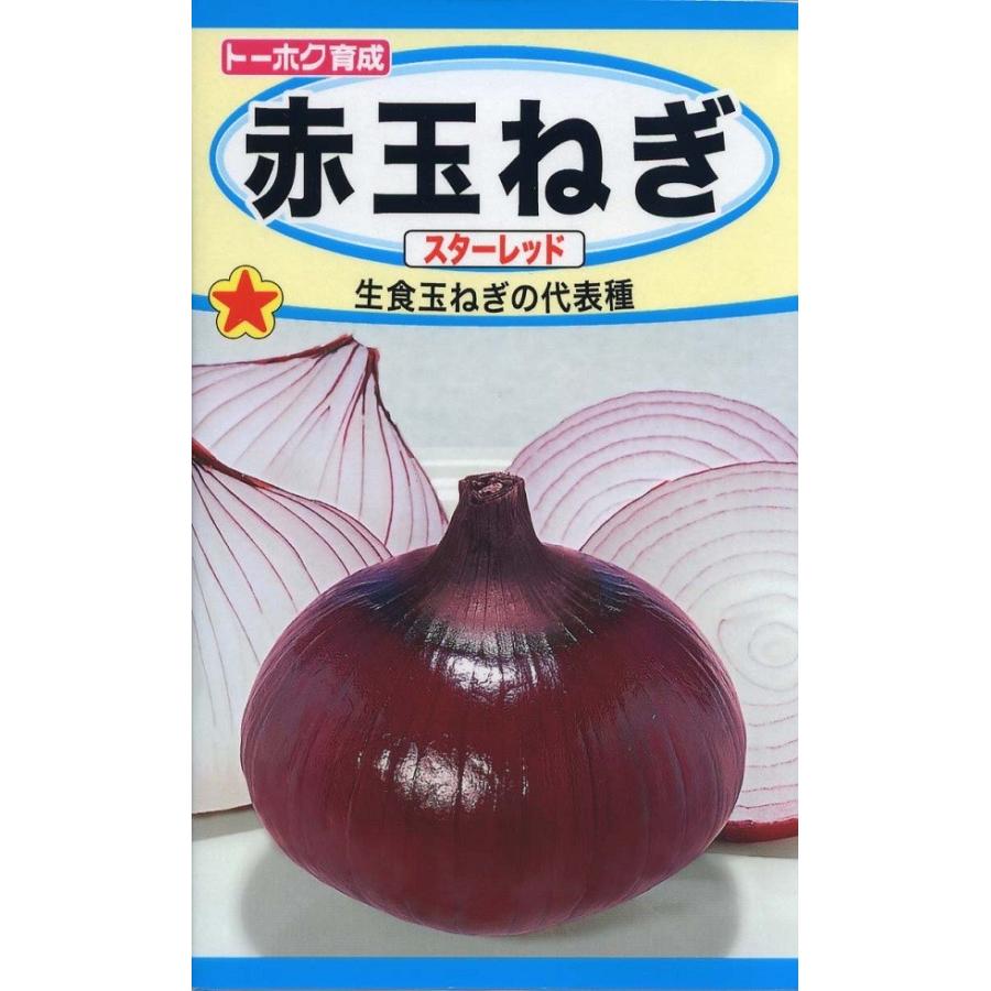 野菜種子 赤玉ねぎ スターレッド トーホクのタネ : Gardener s Shop