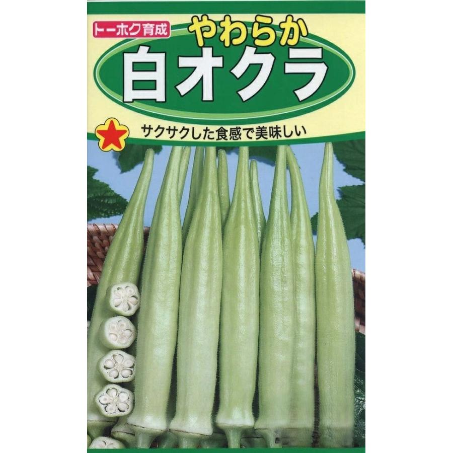 野菜種子 やわらか 白オクラ トーホクのタネ 品種登録 第23758号 登録