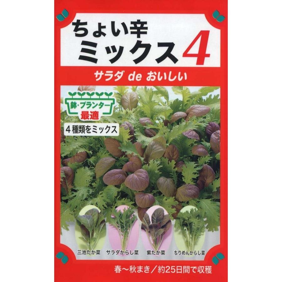 訳あり商品 種子 サラダ de おいしい 日本産 ちょい辛ミックス4 トーホクのタネ