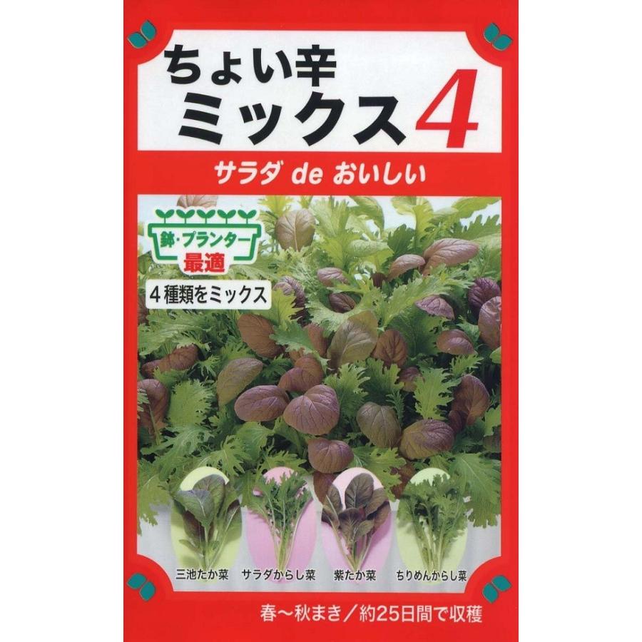 野菜 野菜種子 サラダ de おいしい ちょい辛ミックス4 トーホクのタネ