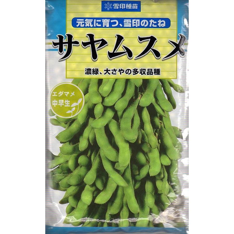野菜種子 枝豆（えだまめ） サヤムスメ 1L コート種子 雪印種苗