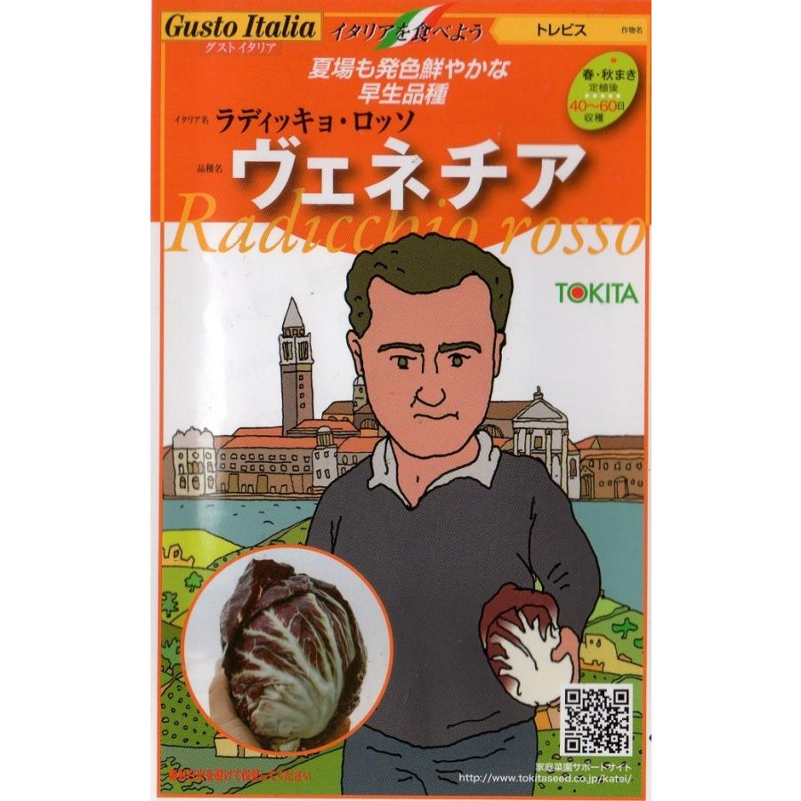 【種子】 Gusto Italia トレビス ラディッキョ・ロッソ ヴェネチア トキタ種苗のタネ