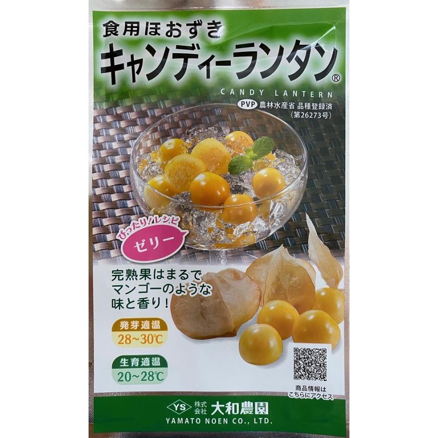 種子 食用ほおずき キャンディーランタン 大和農園のタネ Yasaitane 1134 Gardener S Shop Ivy 通販 Yahoo ショッピング