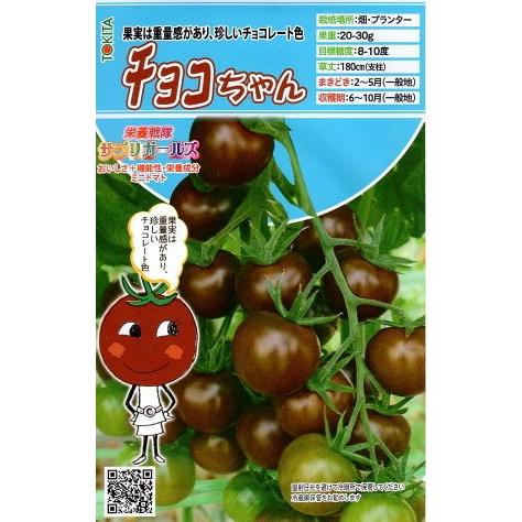 野菜種子 ミニトマト チョコちゃん トキタ種苗のタネ : Gardener s