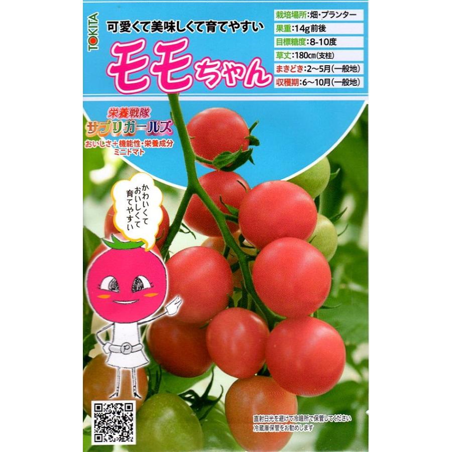 ミニトマトちゃん ミニトマト】サプリガールズ ミドリちゃん〔トキタ交配〕/小袋（8粒 アイドル
