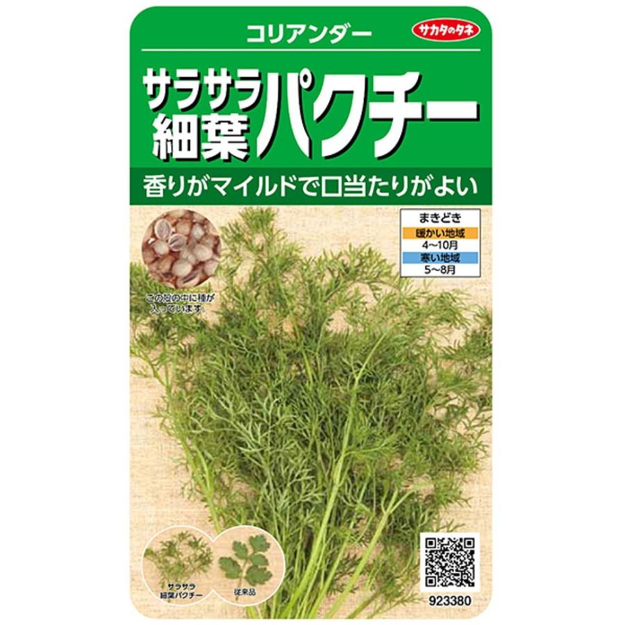 最高の品質 セール特別価格 種子 サラサラ細葉パクチー ドラゴン サカタのタネ kamejikan.com kamejikan.com