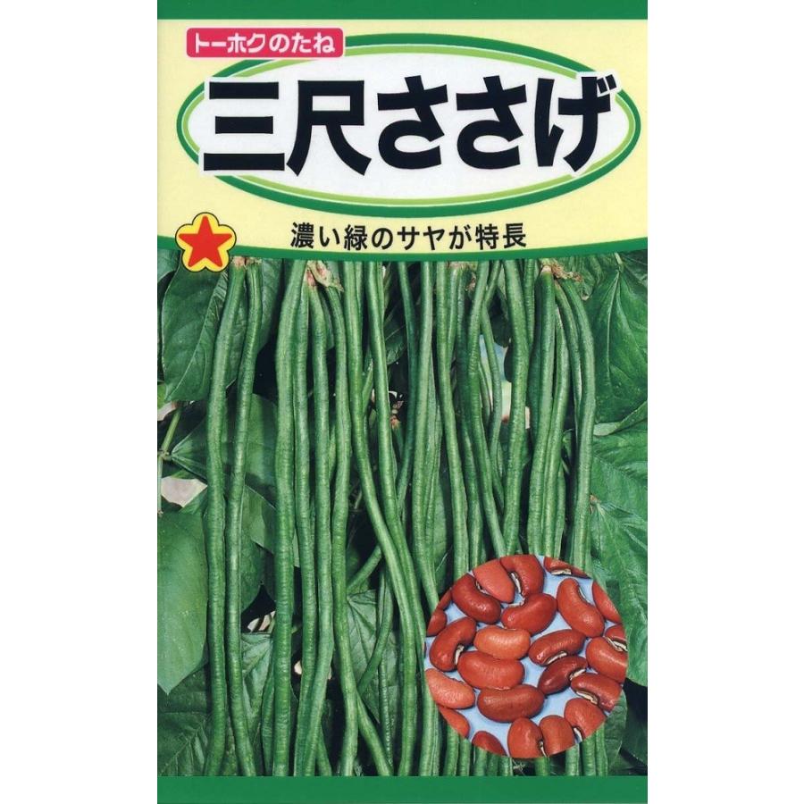 茨城県産採れたて　豇豆　三尺ささげ　約10kg 野菜種子 三尺ささげ トーホクのタネ : Gardener s Shop Ivy - 通販