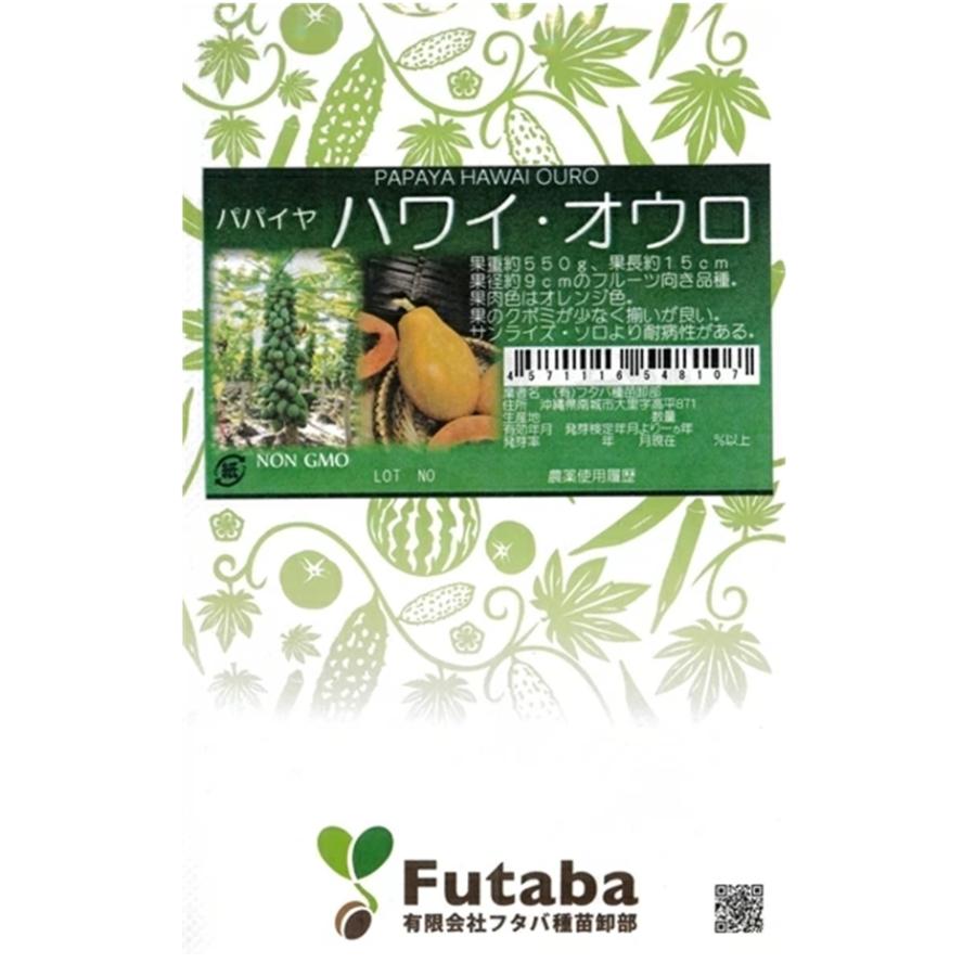 ハワイ種 苗 100本 無農薬 送料無料 【公式通販】