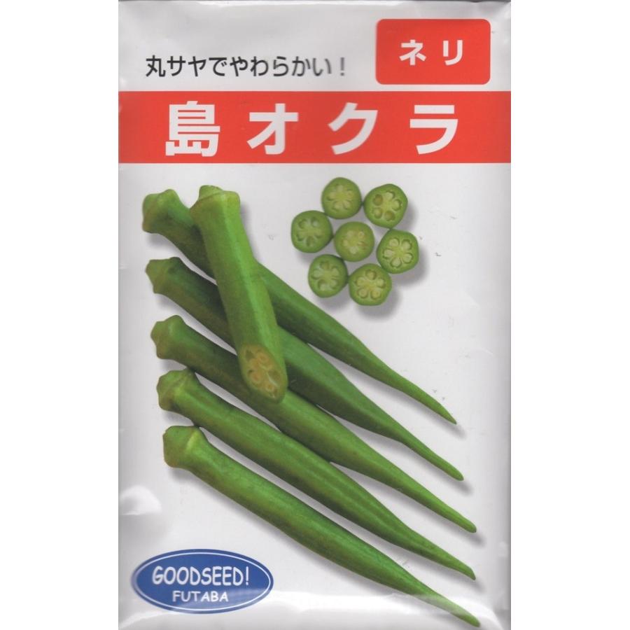 種子 島オクラ ネリ フタバ種苗のタネ Yasaitane 17 Gardener S Shop Ivy 通販 Yahoo ショッピング