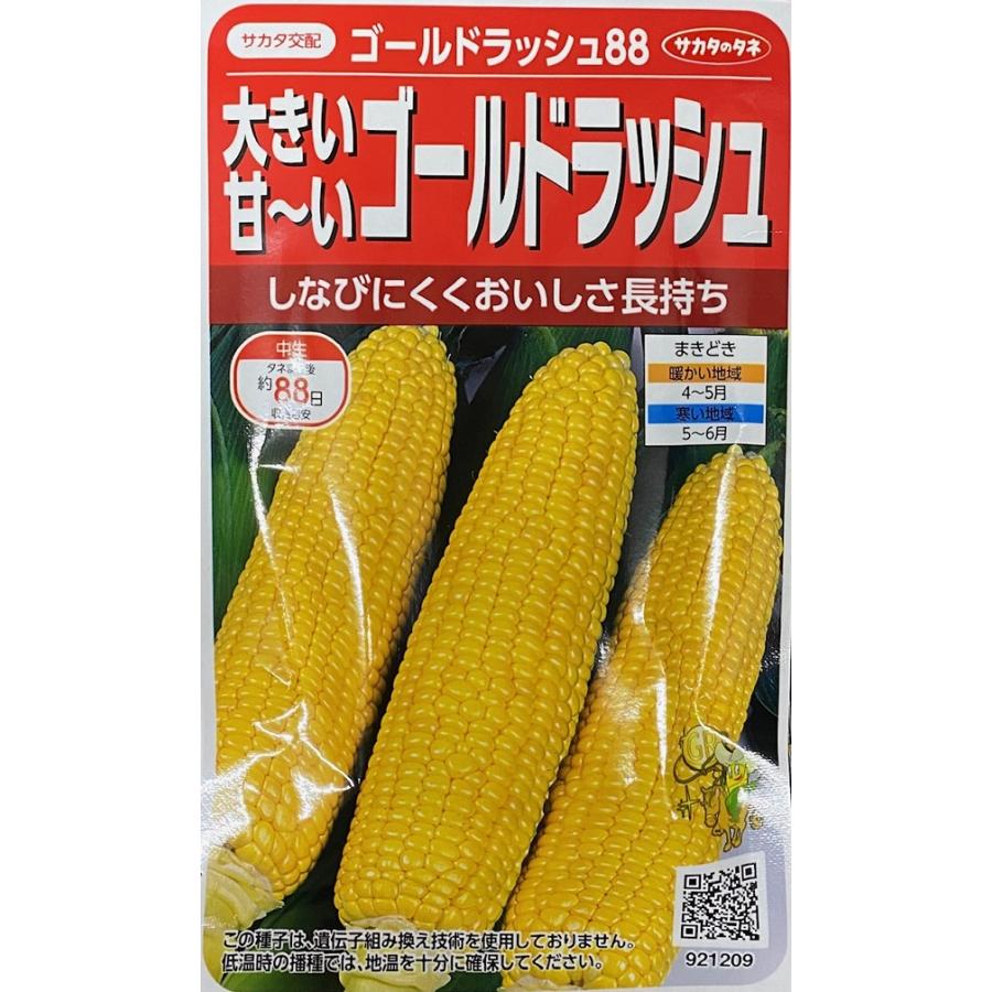 ゴールドラッシュ　とうもろこし種子 農家　サカタのタネ2000粒　2袋 サカタのタネ（サカタノタネ） 野菜種子 とうもろこし ゴールド
