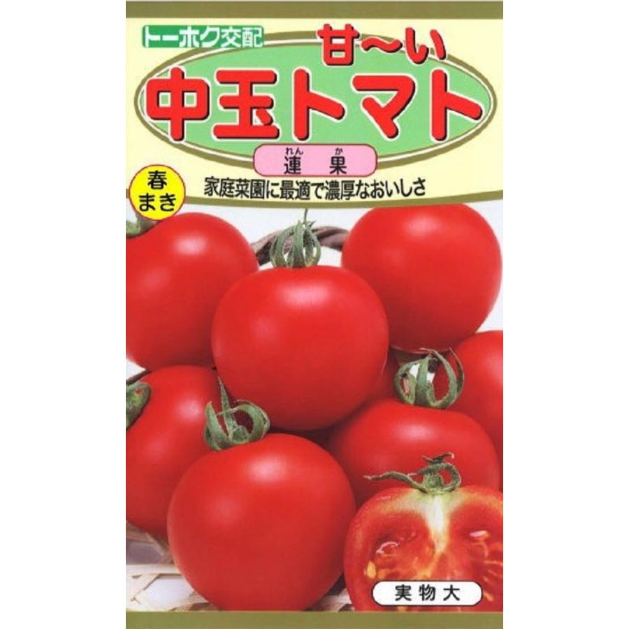 種子 中玉トマト 連果 れんか トーホクのタネ Yasaitane 1212 Gardener S Shop Ivy 通販 Yahoo ショッピング