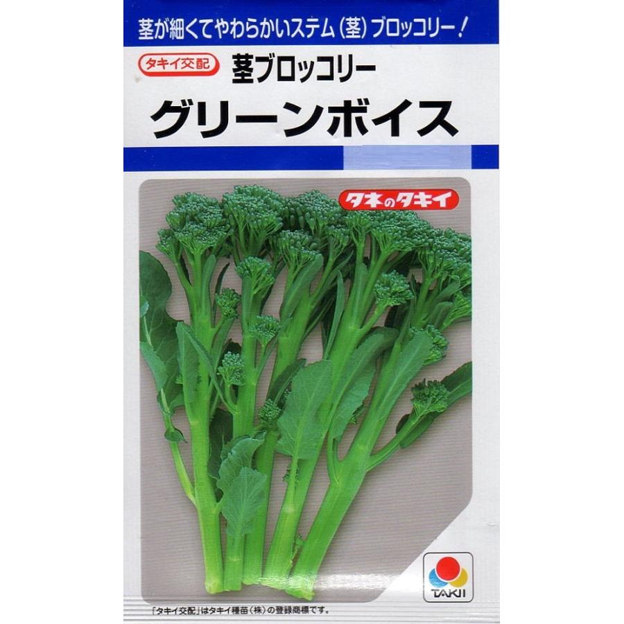 種子 茎ブロッコリー グリーンボイス タキイ種苗のタネ Yasaitane 122 Gardener S Shop Ivy 通販 Yahoo ショッピング
