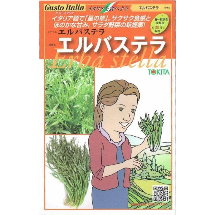 種子 Gusto Italia エルバステラ トキタ種苗のタネ Yasaitane 1226 Gardener S Shop Ivy 通販 Yahoo ショッピング