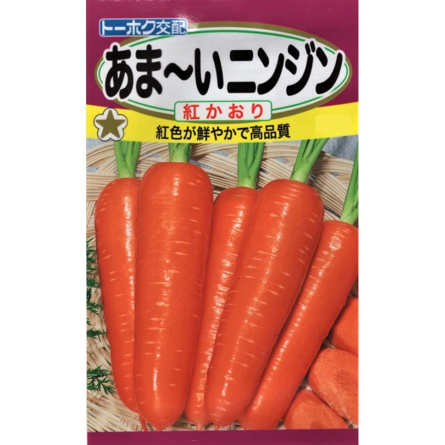 野菜種子 あまーいニンジン 紅かおり トーホクのタネ : Gardener s