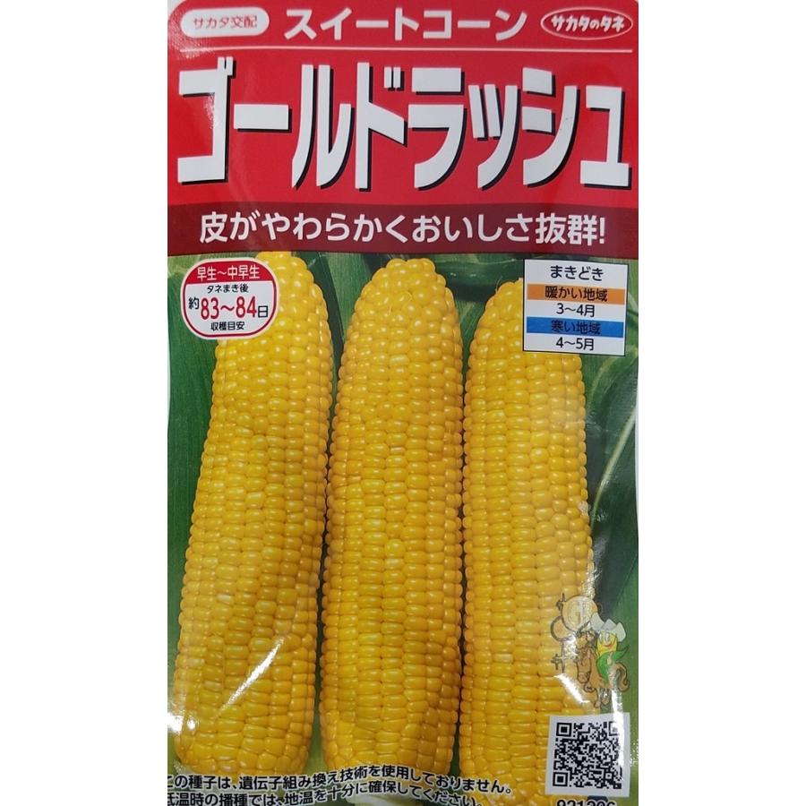 サカタのタネ（サカタノタネ） 野菜種子 ゴールドラッシュ スイート