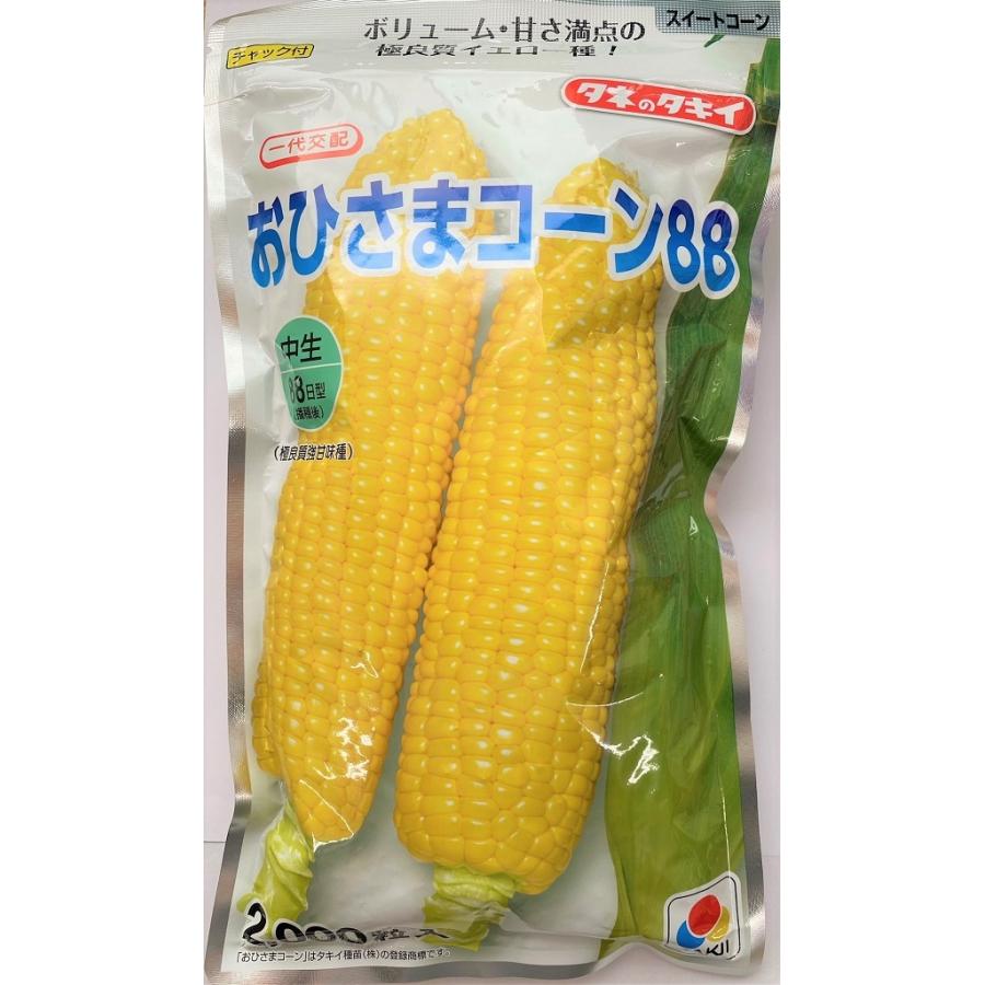 野菜種子 スイートコーン おひさまコーン88(2000粒) タキイ種苗のタネ