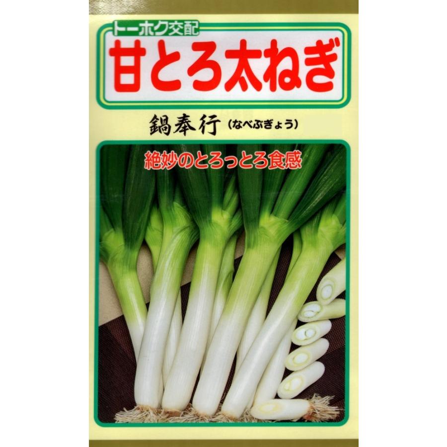 種子 甘とろ太ねぎ 鍋奉行 なべぶぎょう トーホクのタネ Yasaitane 1414 Gardener S Shop Ivy 通販 Yahoo ショッピング