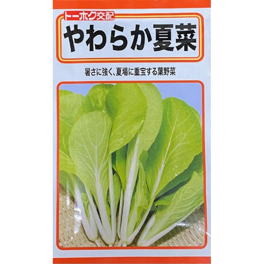 野菜種子 やわらか夏菜(サントウサイ) トーホクのタネ : Gardener s