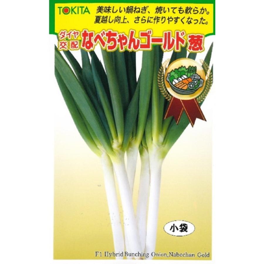 68%OFF!】 種子 なべちゃんゴールド葱 小袋 トキタ種苗のタネ 68%OFF!】 種子 なべちゃんゴールド葱 小袋 トキタ種苗のタネ