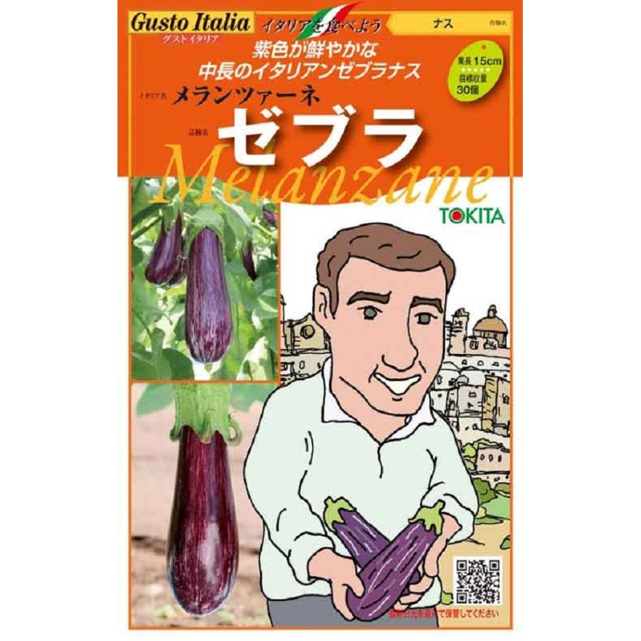 野菜種子 Gusto Italia ナス メランツァーネ ゼブラ トキタ種苗のタネ