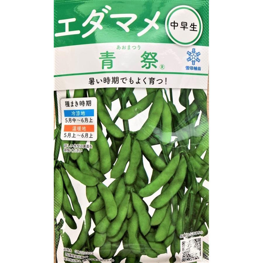 【えだまめ出品】 野菜種子 枝豆（えだまめ） 青祭 小袋 雪印種苗 農林水産省品種登録 第