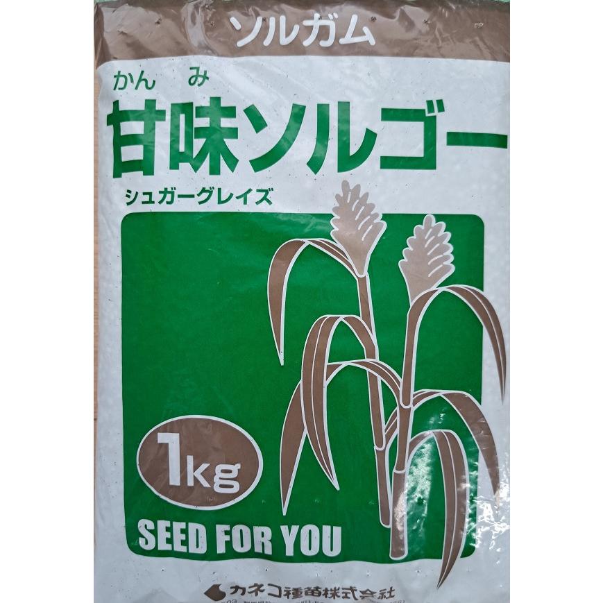野菜種子 ソルガム 甘味ソルゴー シュガーグレイズ 1kg カネコ種苗のタネ : Gardener s Shop Ivy - 通販 ...