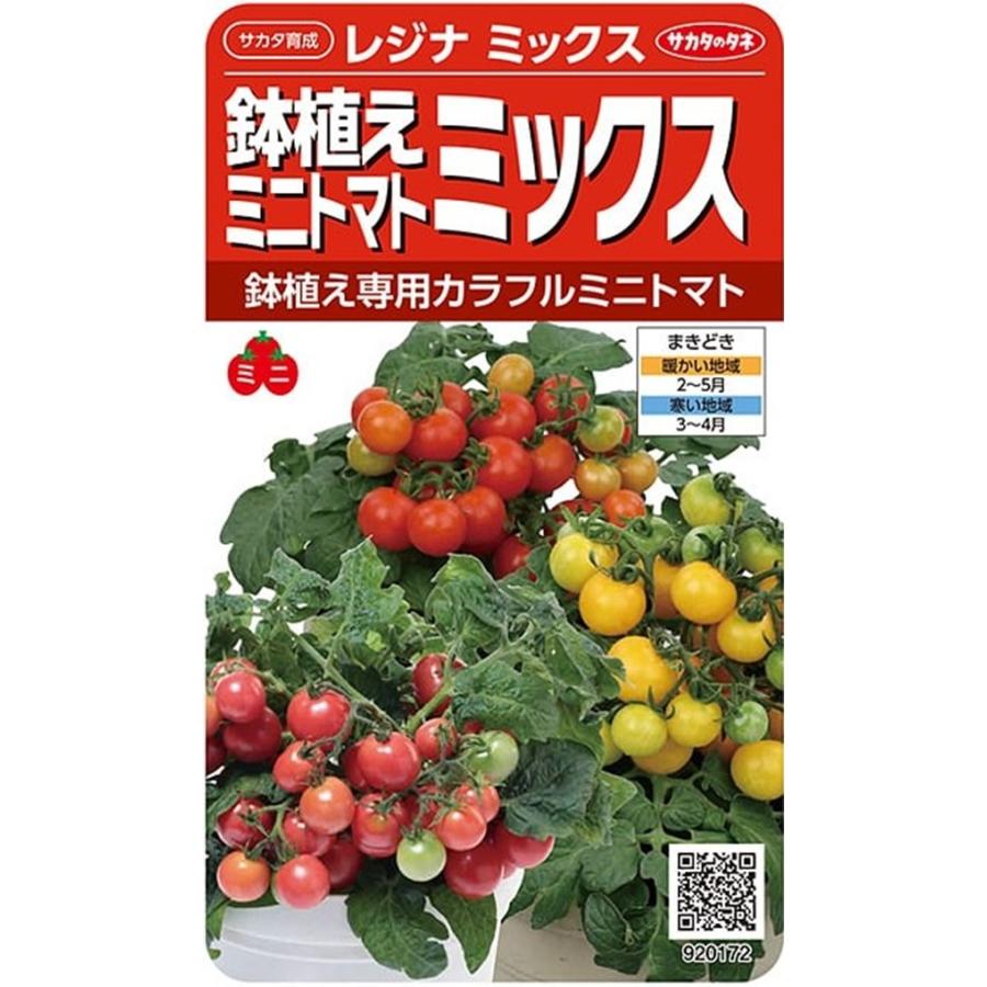 トマトさま専用です サカタのタネ（サカタノタネ） 野菜種子 鉢植えミニトマト レジナ