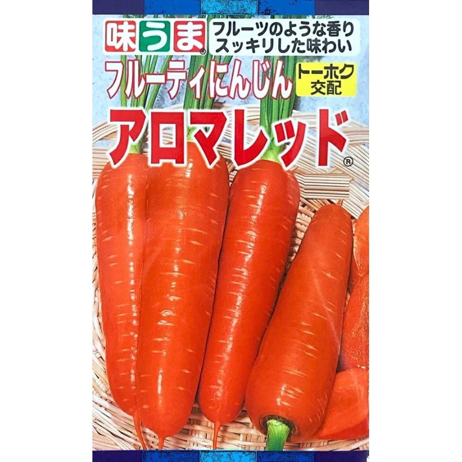 サカタのタネ（サカタノタネ） 野菜種子 フルーティにんじん アロマ